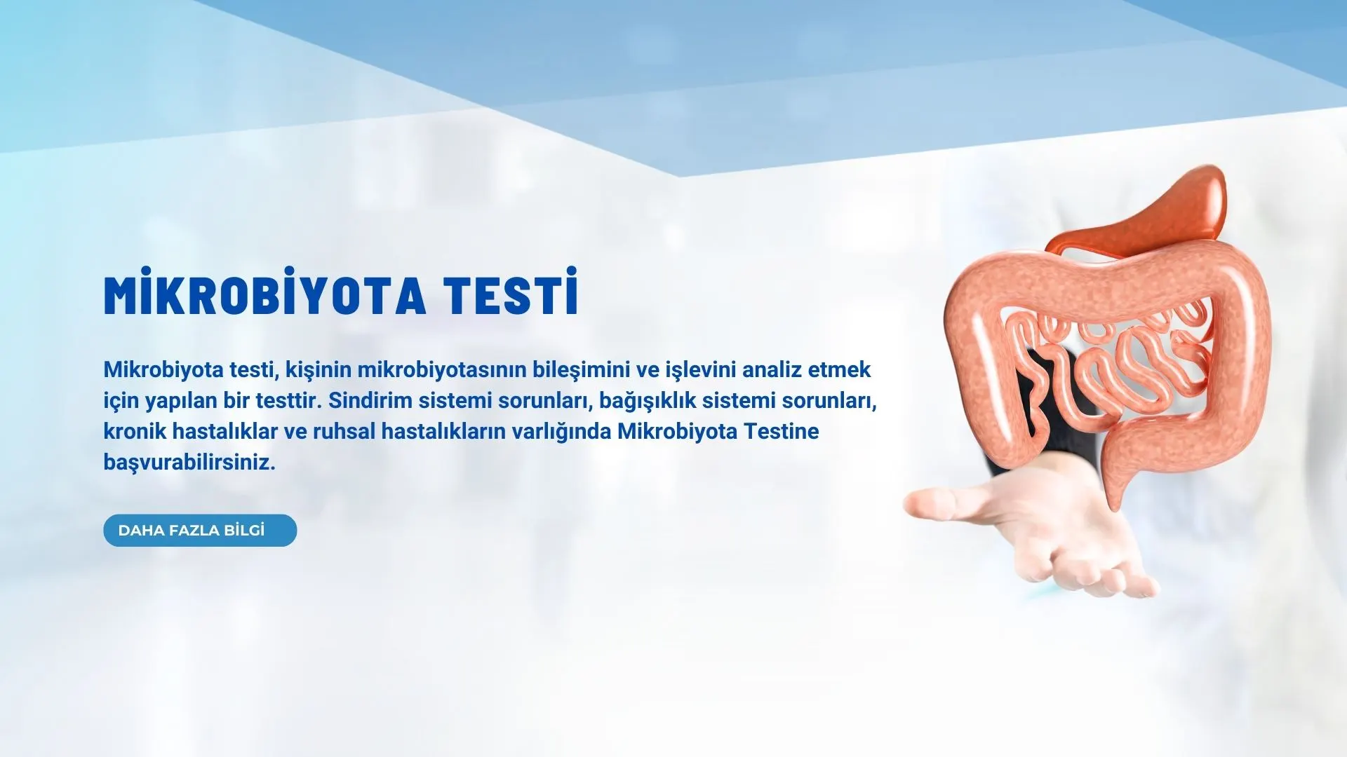 mikrobiyota testi