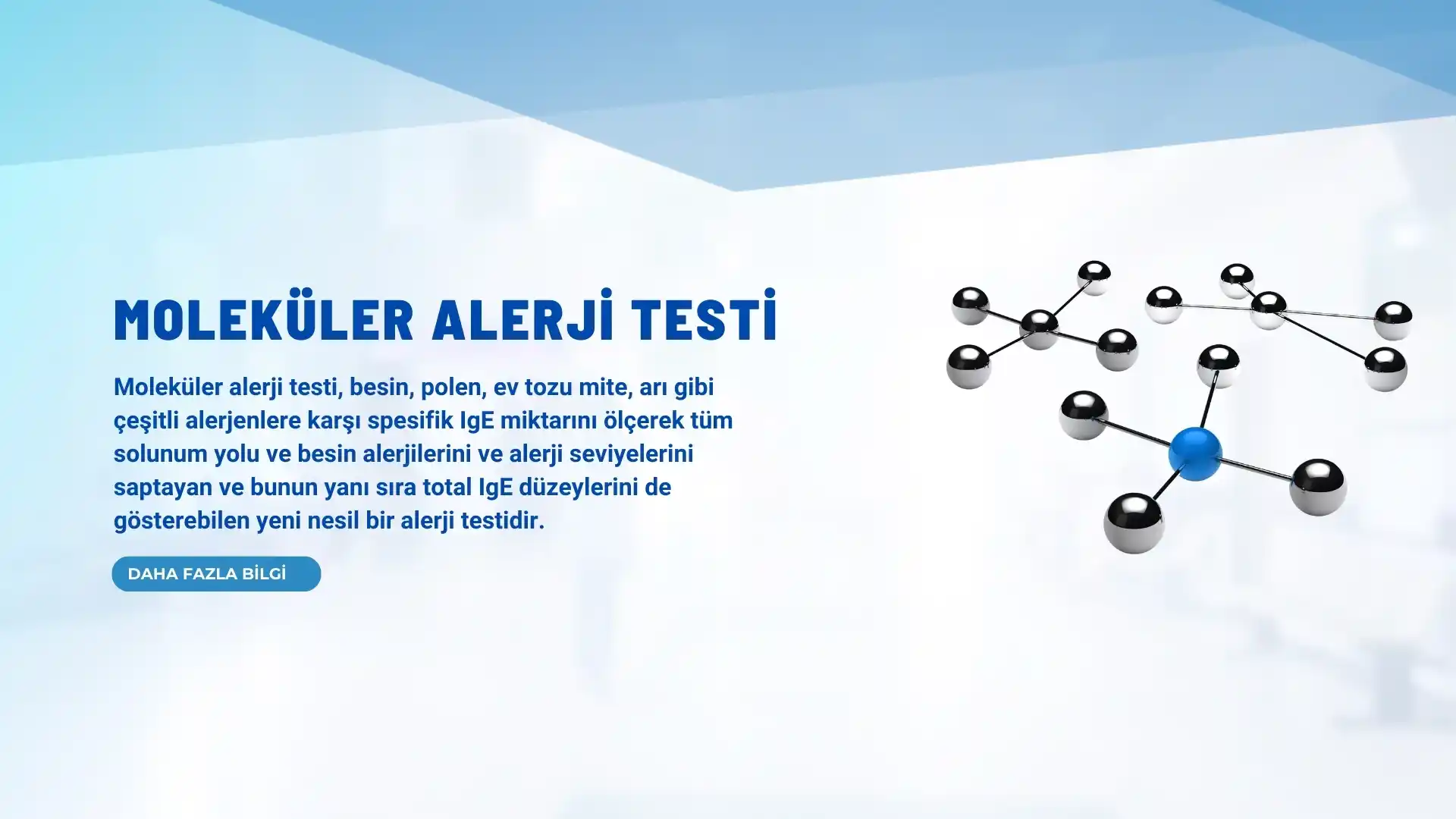 moleküler alerji testi