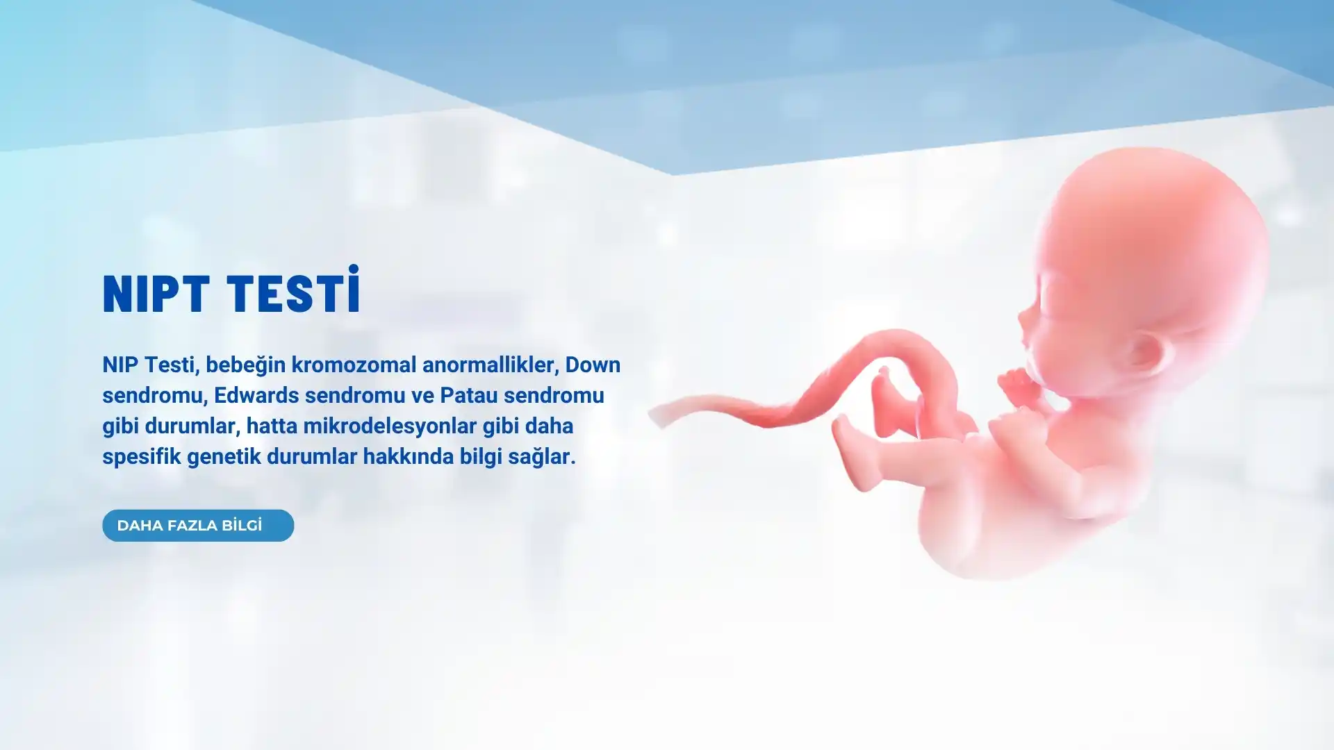 nipt testi