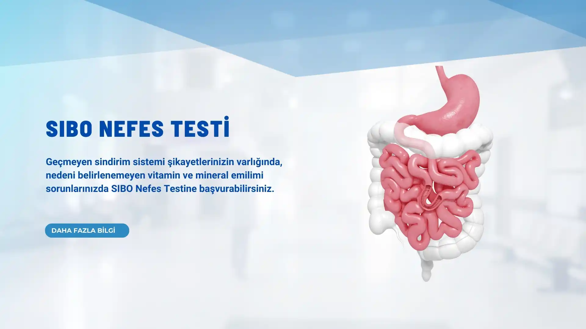 sibo nefes testi