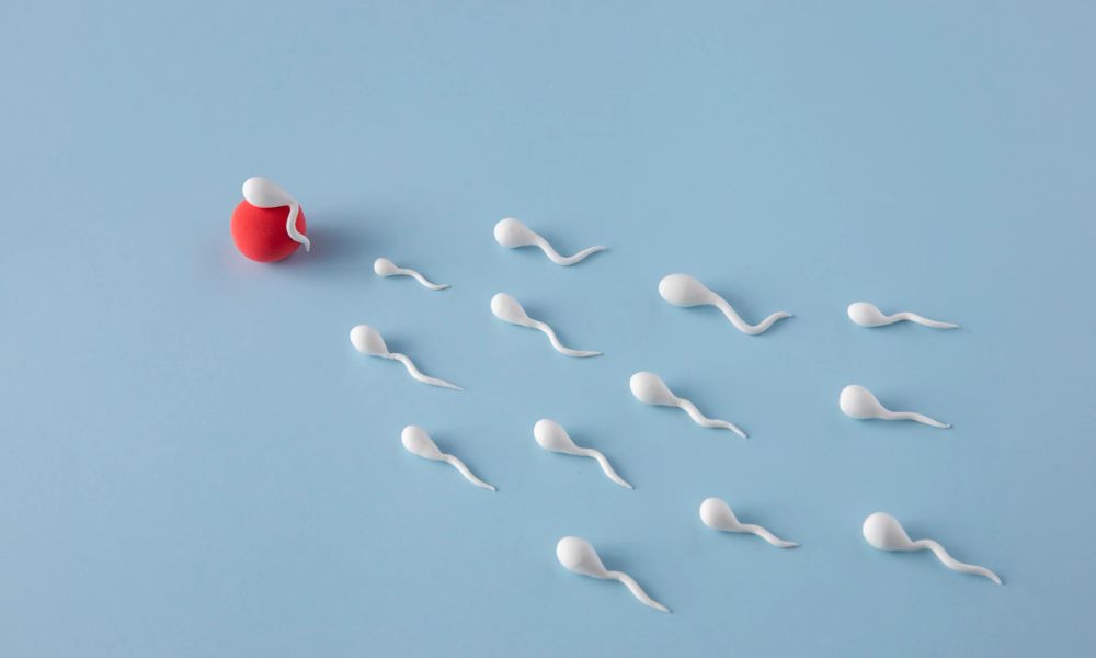 İnfertilite (Kısırlık) Testleri