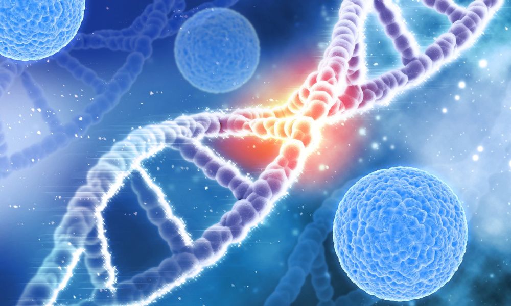 Prostat Kanseri (BRCA1-2 Gen Mutasyonları / PSA Testi)